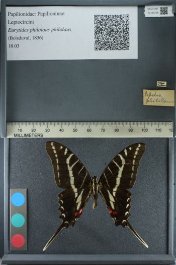 Media type: image;   Entomology 180758